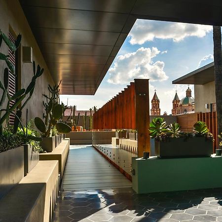 Hotel Criol Queretaro Luaran gambar The rooftop garden