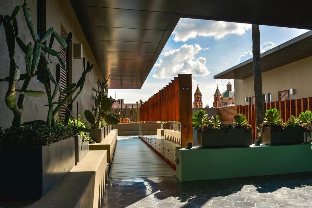 Hotel Criol Queretaro Luaran gambar The rooftop garden